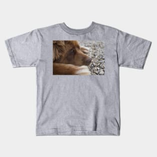 newfoundland brown laying flat Kids T-Shirt